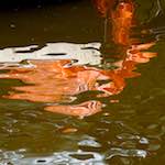 Third image from the photoset 'amsterdam (viii)'.