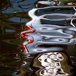 Fourth image from the photoset 'amsterdam (viii)'.