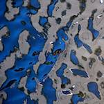 Ninth image from the photoset 'amsterdam (viii)'.