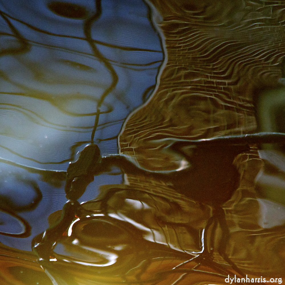 Image 'amsterdam (ix) 9'.