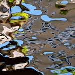 Fifth image from the photoset 'amsterdam (ix)'.