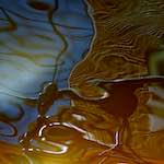 Ninth image from the photoset 'amsterdam (ix)'.