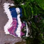 Seventh image from the photoset 'amsterdam (x)'.