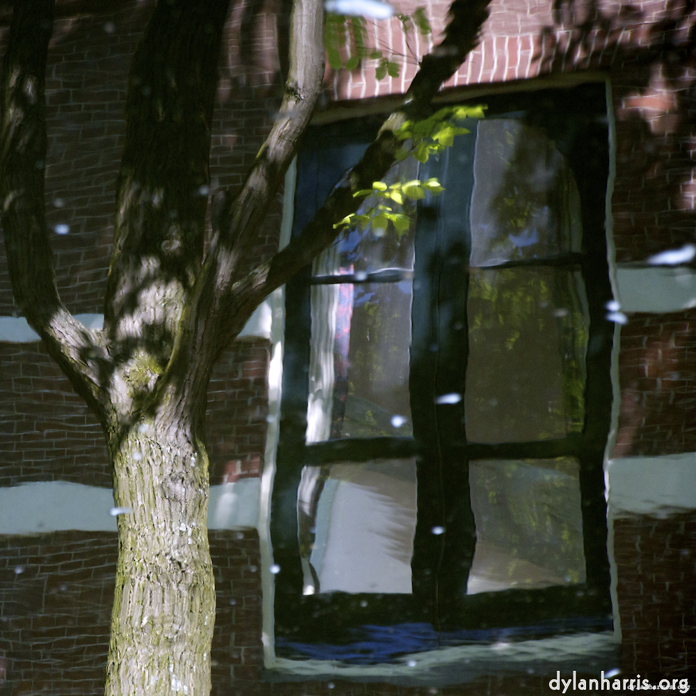 Image 'amsterdam (xi) 3'.