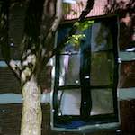 Third image from the photoset 'amsterdam (xi)'.