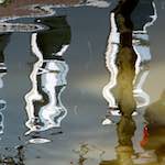 Seventh image from the photoset 'amsterdam (xi)'.