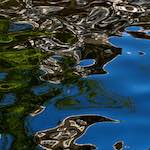 Fifth image from the photoset 'amsterdam (xiii)'.