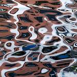 Seventh image from the photoset 'amsterdam (xiii)'.