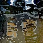 Seventh image from the photoset 'amsterdam (xiv)'.