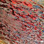 First image from the photoset 'amsterdam (xv)'.