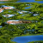 Fourth image from the photoset 'amsterdam (xv)'.