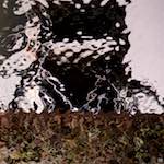 Third image from the photoset 'amersfoort (ii)'.