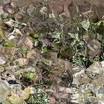 Seventh image from the photoset 'amersfoort (ii)'.