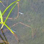 Second image from the photoset 'rham (i)'.