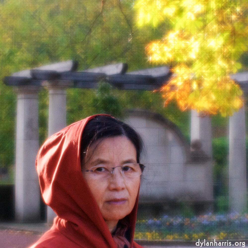 image: This is &lsquo;L (xvi) 1&rsquo;.