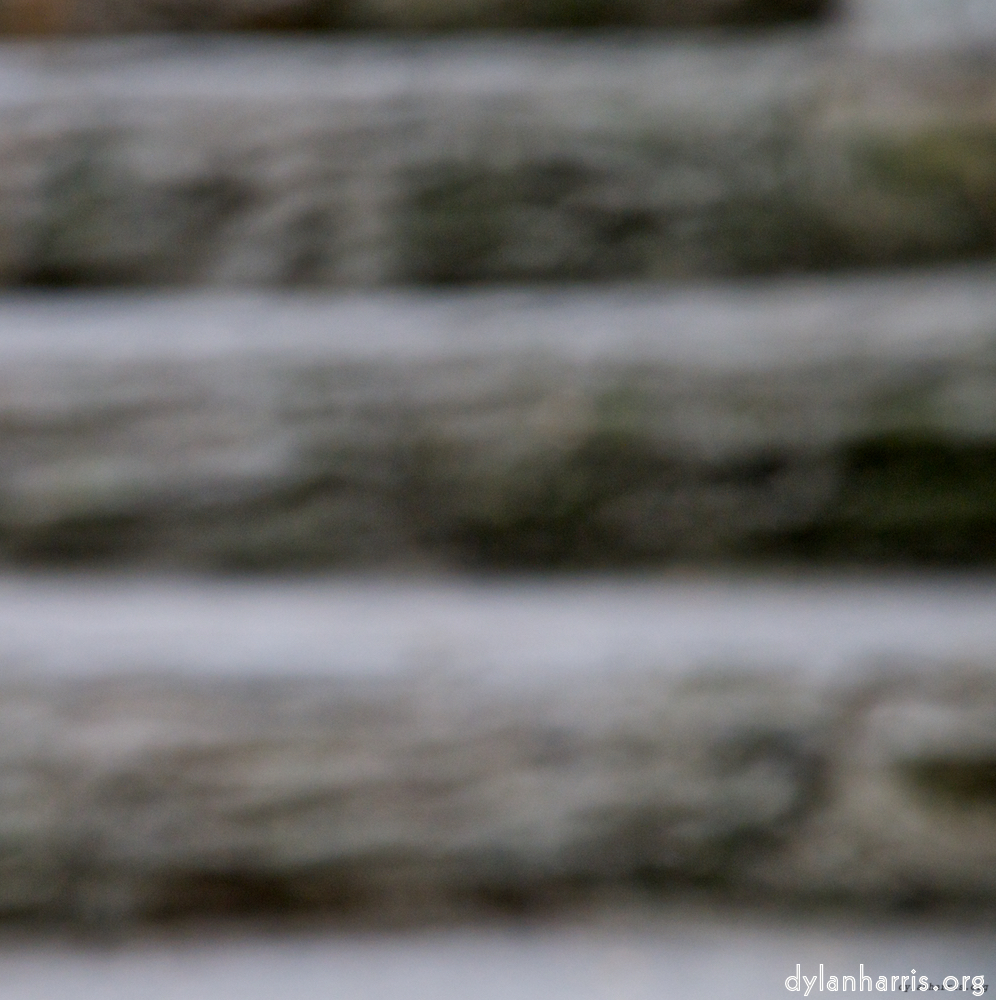 Image 'parc (ii) 1'.