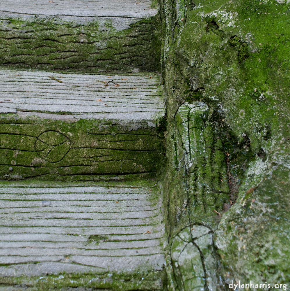 Image 'parc (ii) 2'.