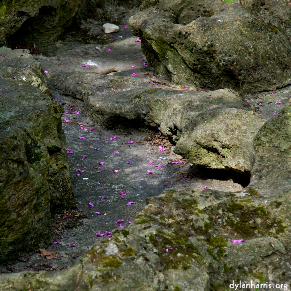 Image: Image 'parc (ii) 3'.