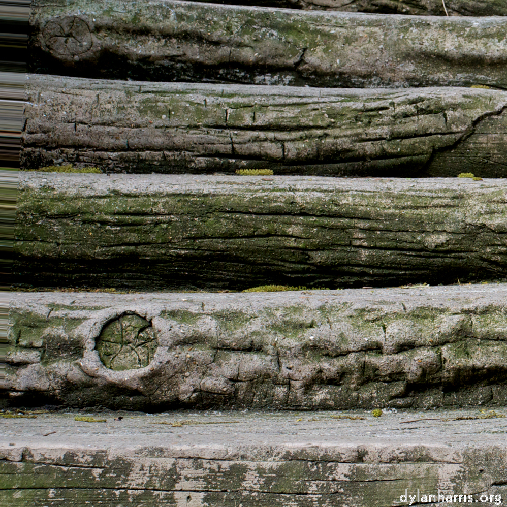 Image 'parc (ii) 4'.