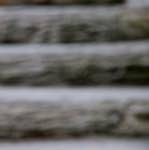 First image from the photoset 'parc (ii)'.