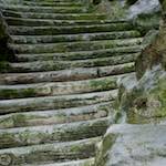 Tenth image from the photoset 'parc (ii)'.