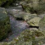 Third image from the photoset 'parc (ii)'.