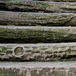 Fourth image from the photoset 'parc (ii)'.