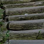 Fifth image from the photoset 'parc (ii)'.