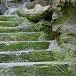 Sixth image from the photoset 'parc (ii)'.