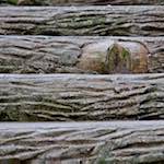 Eighth image from the photoset 'parc (ii)'.