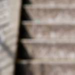 Ninth image from the photoset 'parc (ii)'.