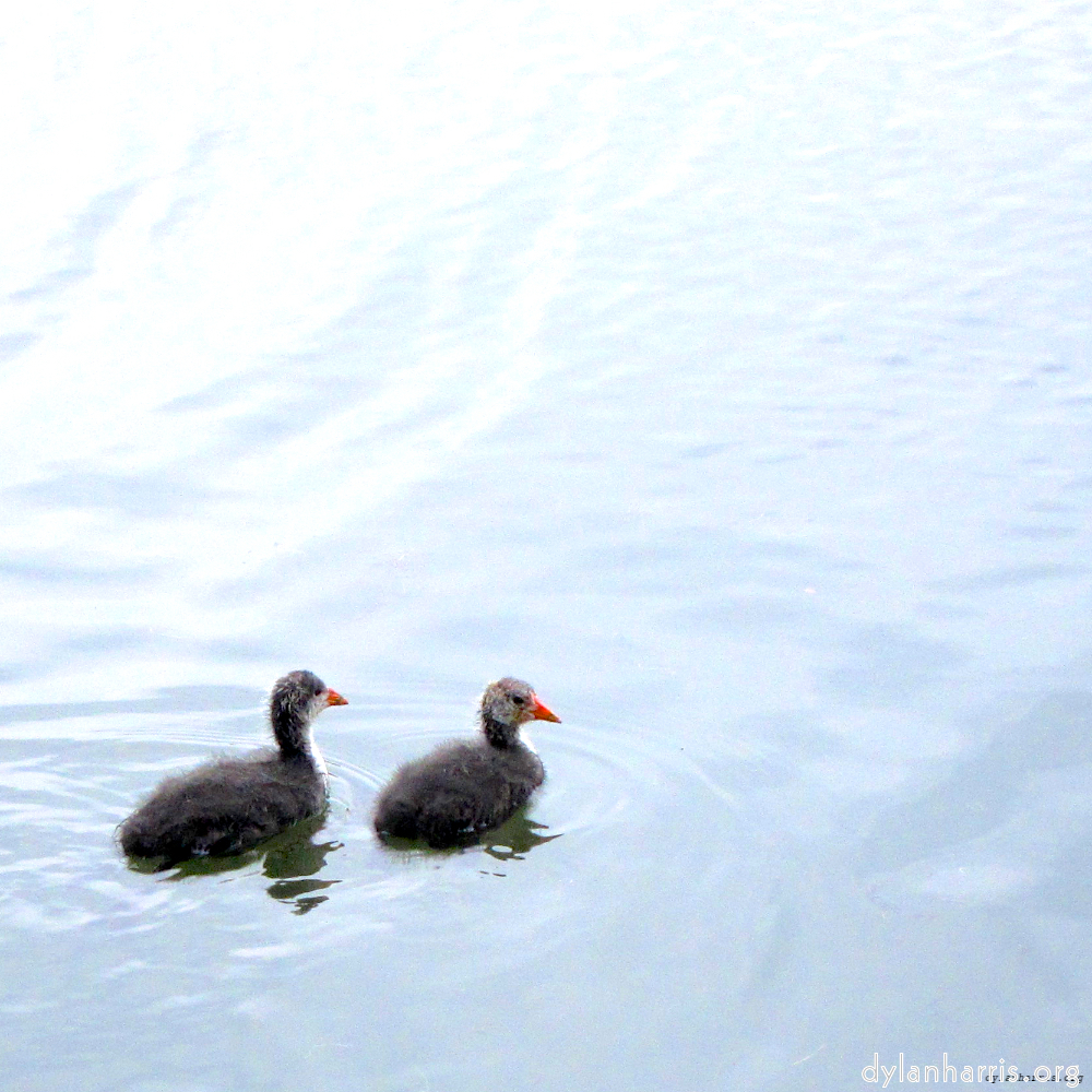 Image: Image 'eindhoven (viii) 1'.