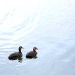 First image from the photoset 'eindhoven (viii)'.