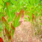 Second image from the photoset 'eindhoven (viii)'.