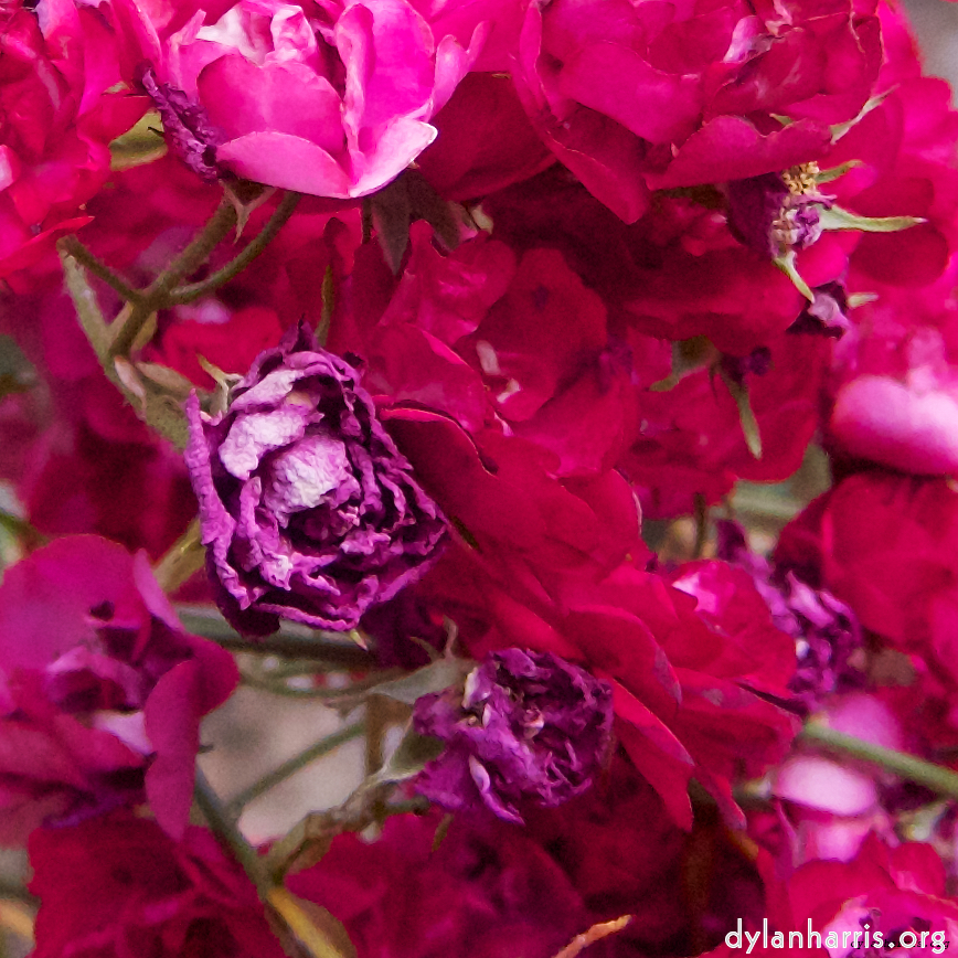 Image 'way to work (i) 6'.