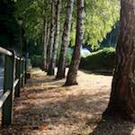 image: Image from the photoset &lsquo;way to work (ii)&rsquo;.