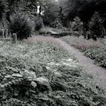 image: Image from the photoset &lsquo;way to work (ii)&rsquo;.