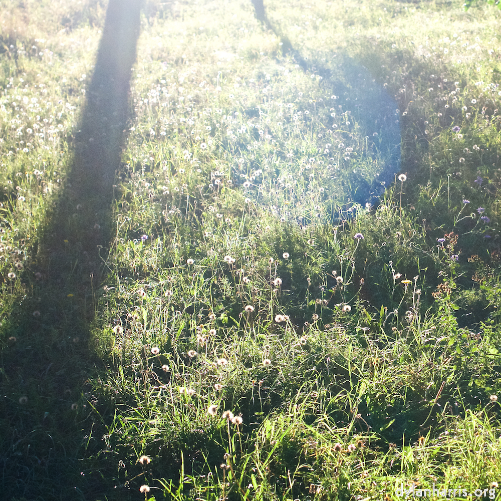 image: This is &lsquo;escher blummen (xxvii) 1&rsquo;.