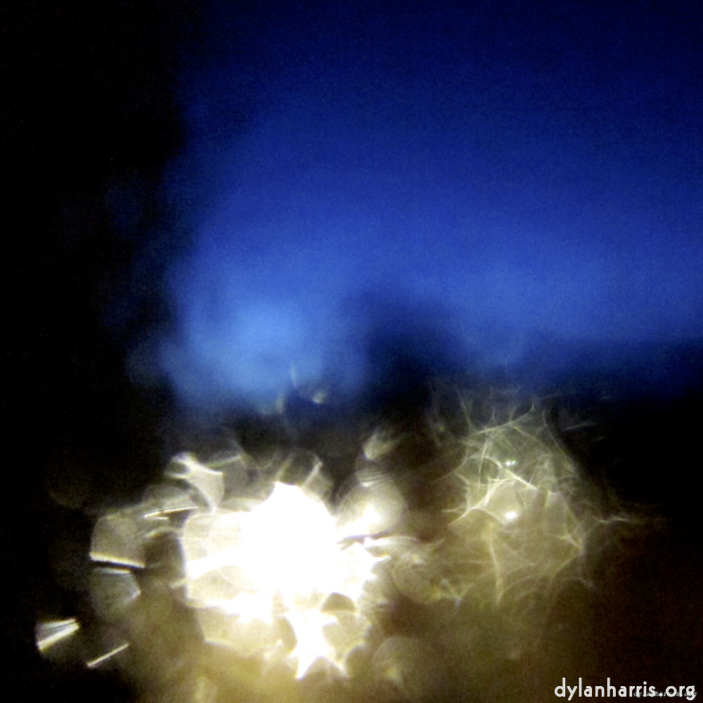 Image 'esch&ndash;sur&ndash;alzette (viii) 2', at Escher D&eacute;ierepark, head and torso of a doe.