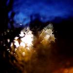 Fifth image of Escher D&eacute;ierepark, from the photoset 'esch&ndash;sur&ndash;alzette (viii)'.