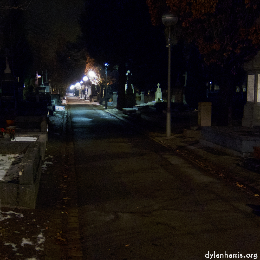 Image: Image 'walking home &hellip; 6'.