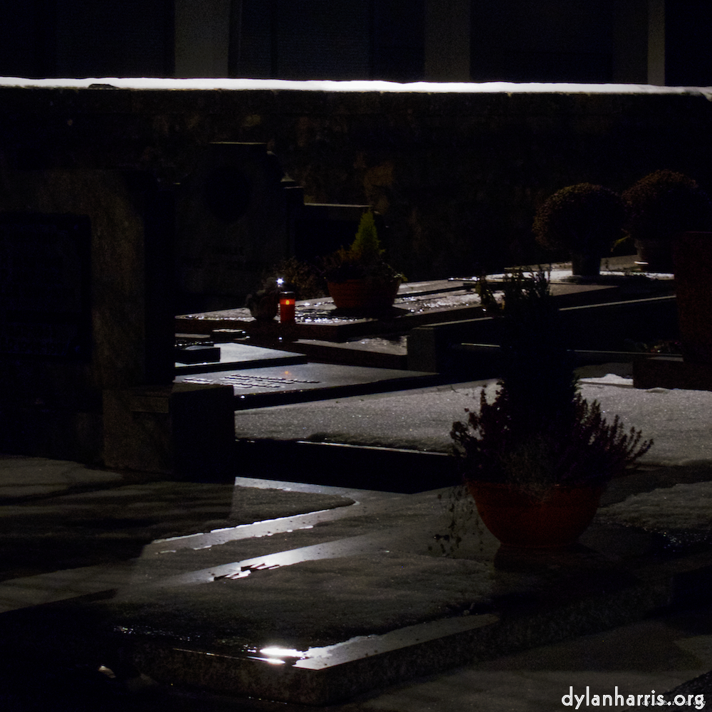 Image: Image 'walking home &hellip; 7'.