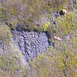 Fourth image from the photoset 'luxembourg (x)'.