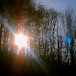 Sixth image from the photoset 'luxembourg (x)'.