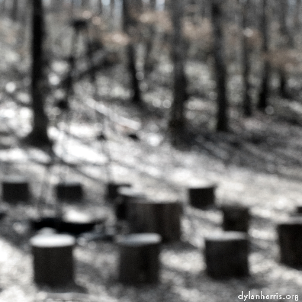 image: This is &lsquo;wood (xxxix) 2&rsquo;.