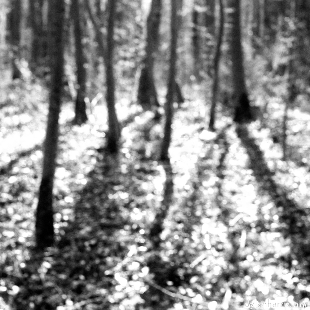 image: This is &lsquo;wood (xxxix) 3&rsquo;.