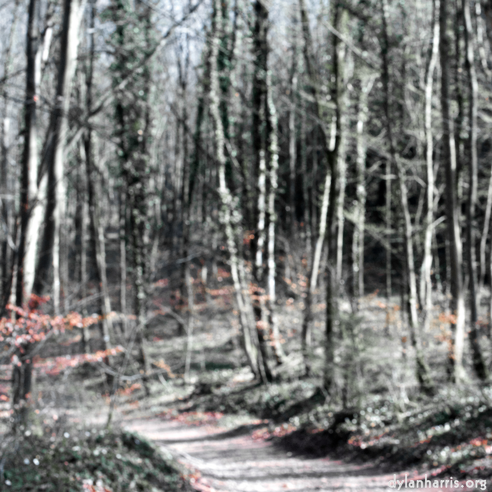 image: This is &lsquo;wood (xxxix) 4&rsquo;.