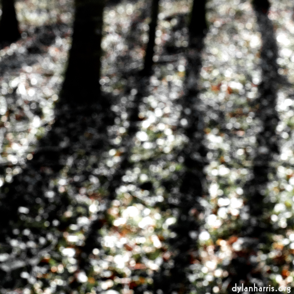 image: This is &lsquo;wood (xxxix) 5&rsquo;.