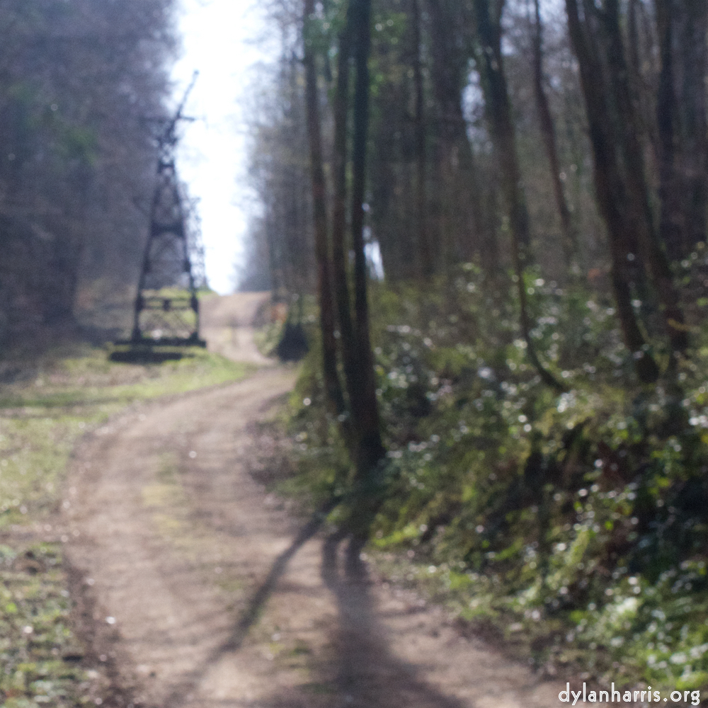 image: This is &lsquo;wood (xl) 2&rsquo;.