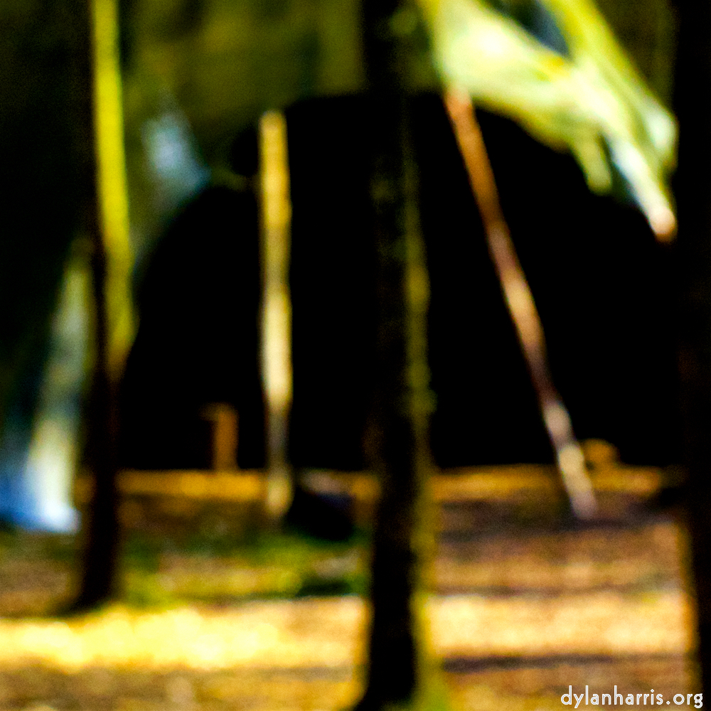 image: This is &lsquo;wood (xl) 5&rsquo;.